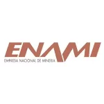 logo-enami