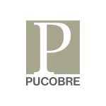 logo-pucobre